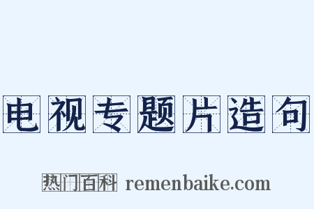 电视专题片造句是什么意思的图片